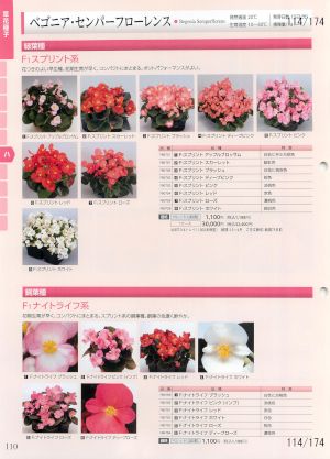 tki_114