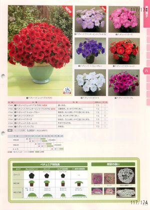 tki_117