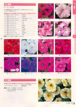 tki_119
