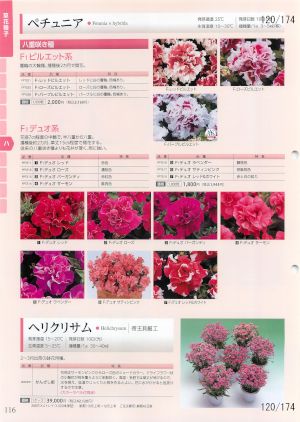 tki_120