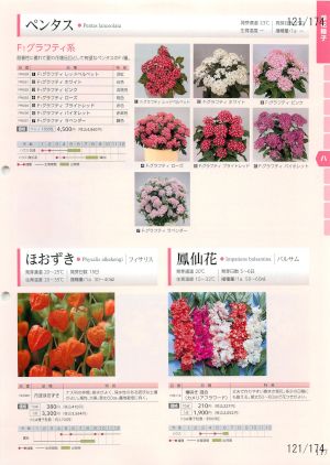 tki_121