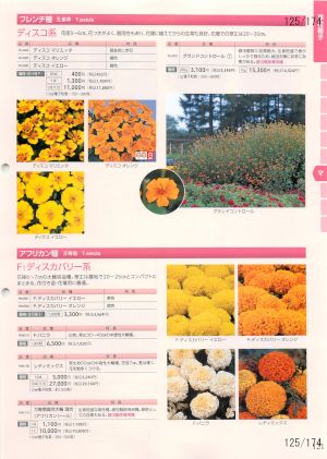 tki_125