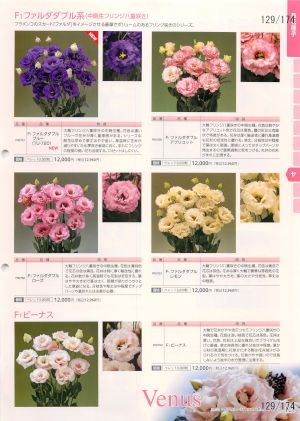 tki_129