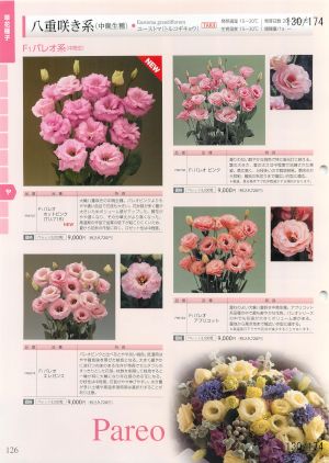 tki_130