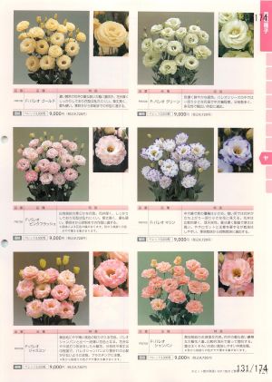 tki_131