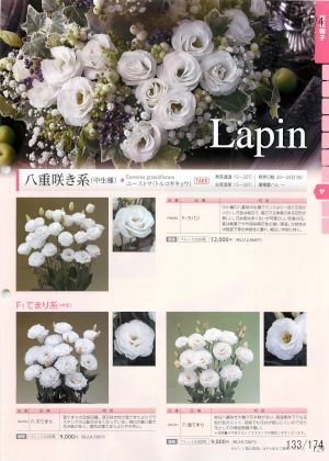 tki_133