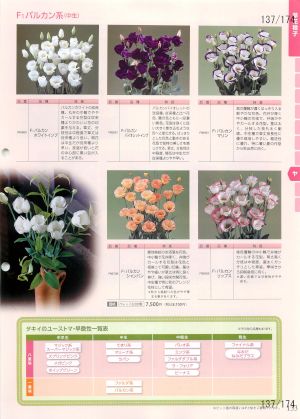 tki_137