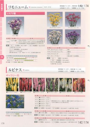 tki_142