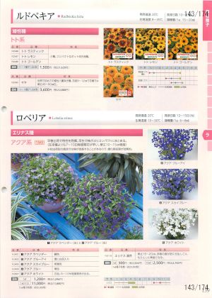 tki_143