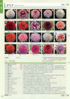 tki_156