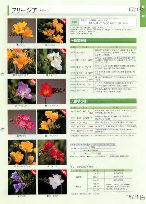 tki_157