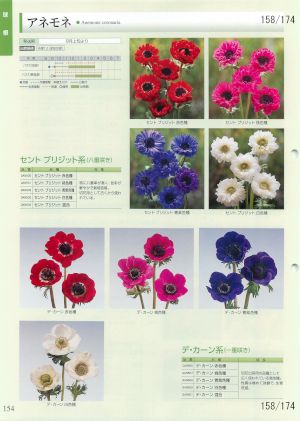 tki_158