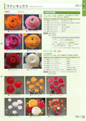 tki_159