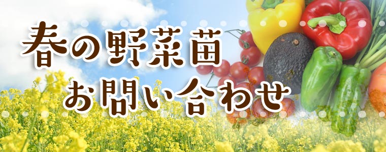 春の野菜お問合せはこちら