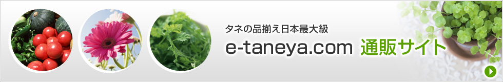 タネの品揃え日本最大級　e-taneya.com　通販サイト