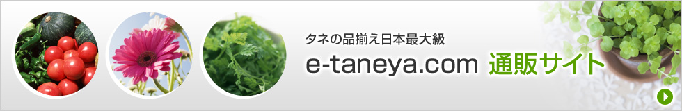 ^l̕i{ő勉@e-taneya.com@ʔ̃TCg