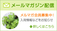 [}KWzM